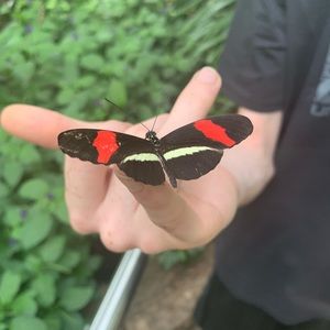 Meet your Posher, Megan